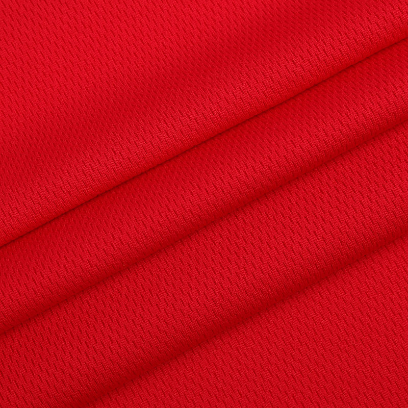 75D/72F DTY kalandriertes Super Birdseye Mesh-Gewebe 75D/72F DTY kalandriertes Super Birdseye Mesh-Gewebe