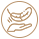 Baumwollstrickstoffe